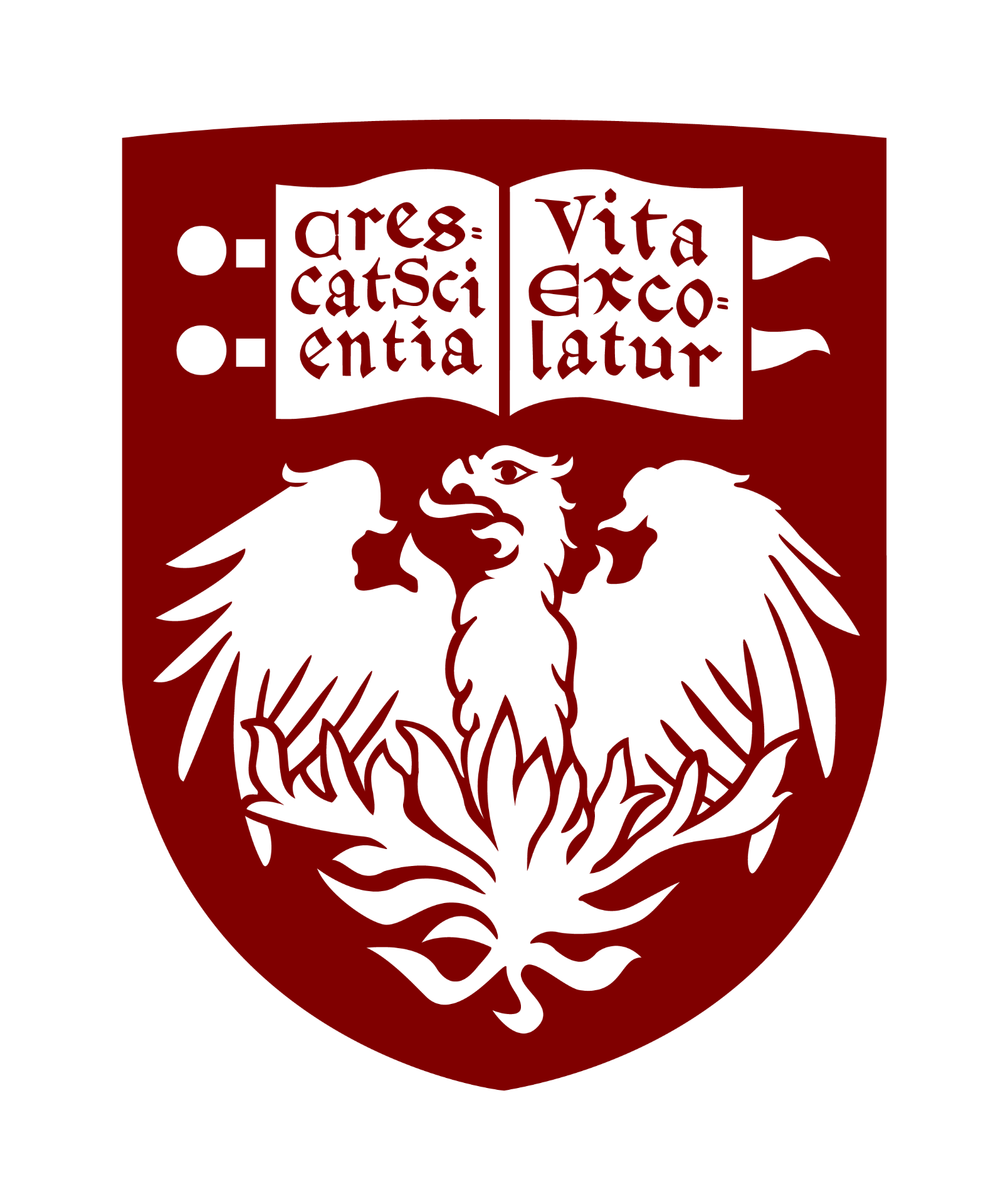 The University of Chicago